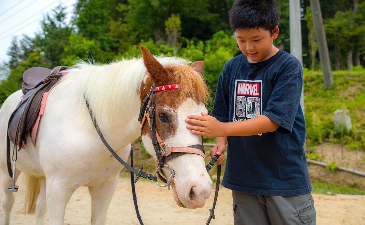 ホースセラピー 庄原ホースヒル